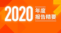 壹号平台官网新材2020年度报告精要