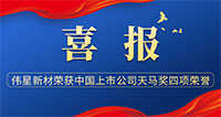 喜报！壹号平台官网新材荣获天马奖中国上市公司  “最佳投资者关系奖”等多项荣誉！