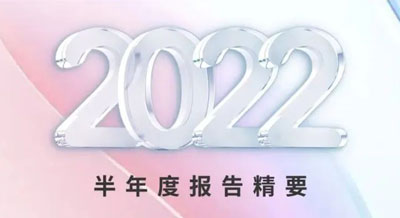 一张图看懂壹号平台官网新材2022半年度报告