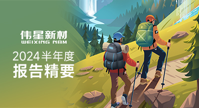 一图看懂壹号平台官网新材2024半年度报告精要