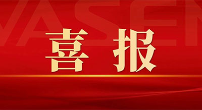 壹号平台官网新材荣获浙江省重点企业研究院